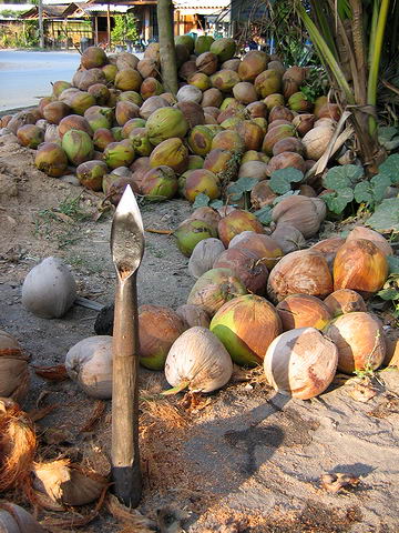 Pomoc tohoto bodku zbavuj mstn sta?enky kokos ochran ?lupky