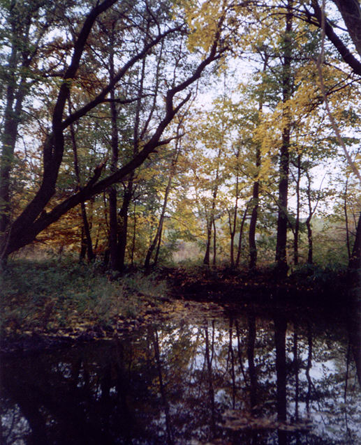 Podzimn potok