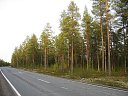 Silnice ve Finsku  jsou ?irok, rovn a przdn