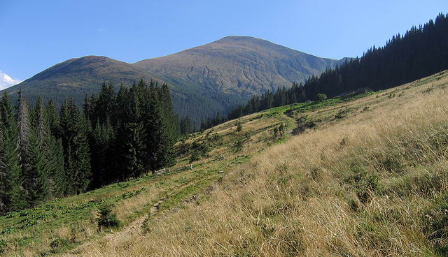 Pastvina s Hoverlou v pozad