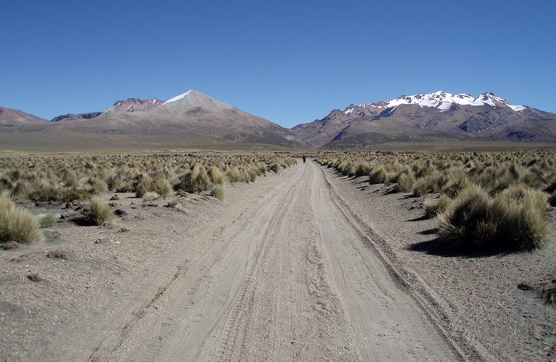 Cesta do Pueblo Parinacota