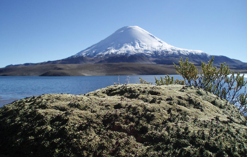 Cerro Parinacota